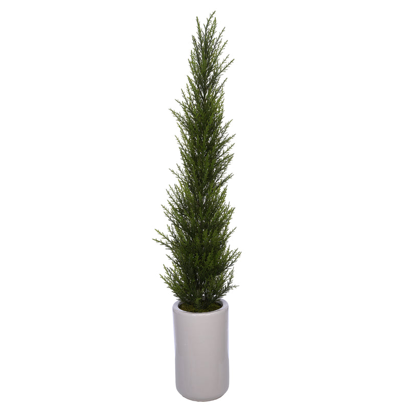 38-Inch Cedar Pencil Topiary in White Cylinder Ceramic Pot House of Silk Flowers®