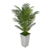 4-1/2 foot Areca Palm in Designer Metal House of Silk Flowers®