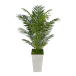 4-1/2 foot Areca Palm in Designer Metal House of Silk Flowers®