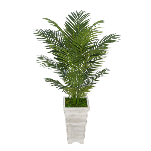 4-1/2 foot Areca Palm in Tall Washed Wood Planter House of Silk Flowers®