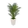 4-1/2 foot Areca Palm in Tall Washed Wood Planter House of Silk Flowers®