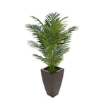 4-1/2 foot Areca Palm in Tapered Square Zinc House of Silk Flowers®