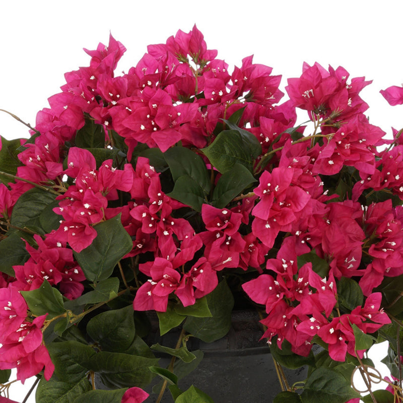 Faux Bougainvillea in Black-Washed Roman Urn Planter