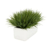 Artificial Green Farm Grass in 14" Ceramic