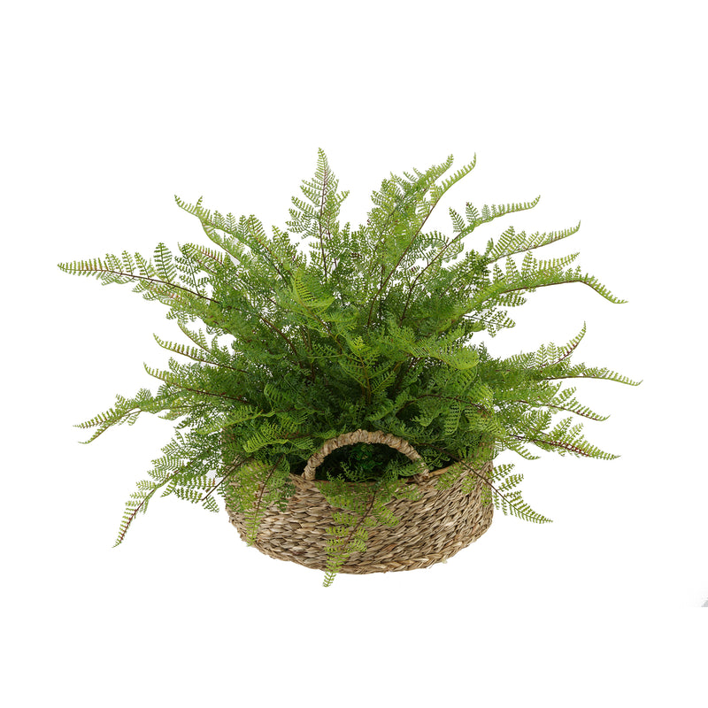 Faux Lace Fern in Seagrass Tray Basket