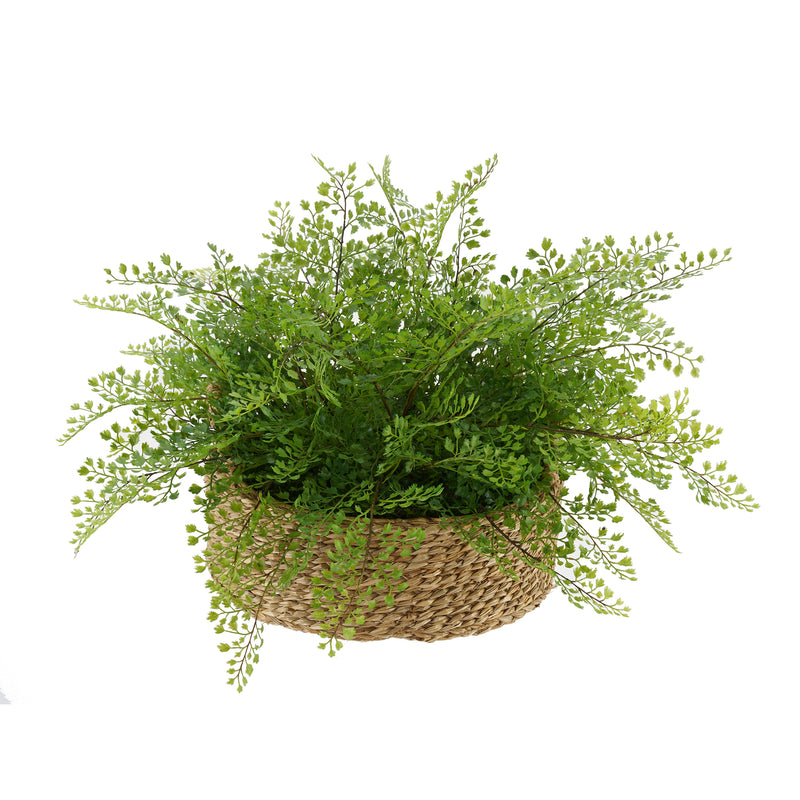 Faux Maidenhair Fern in Seagrass Tray Basket