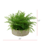 Faux Fern in Seagrass Tray Basket