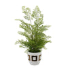 Faux Maidenhair Fern in Gold/White Ceramic