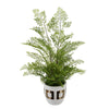 Faux Maidenhair Fern in Gold/White Ceramic