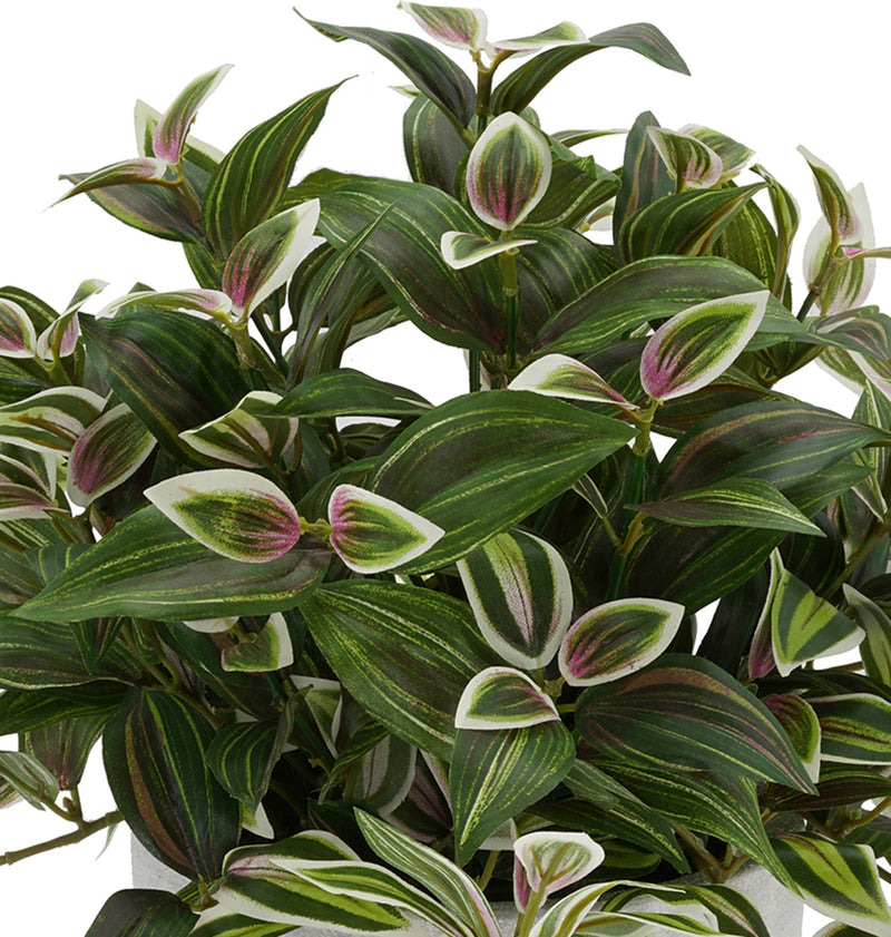 Faux Wandering Jew Plant in Gold/White Ceramic