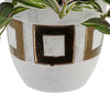 Faux Wandering Jew Plant in Gold/White Ceramic