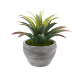 Faux Star Succulent in Grey-Washed Ceramic