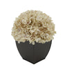 Artificial Hydrangea in Matte Brown Tapered Zinc Cube antique ecru