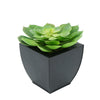 Faux Green Echeveria Succulent in Black Tapered Zinc Pot