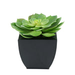 Faux Green Echeveria Succulent in Black Tapered Zinc Pot