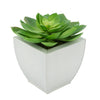 Faux Green Echeveria Succulent in Cream Tapered Zinc Pot