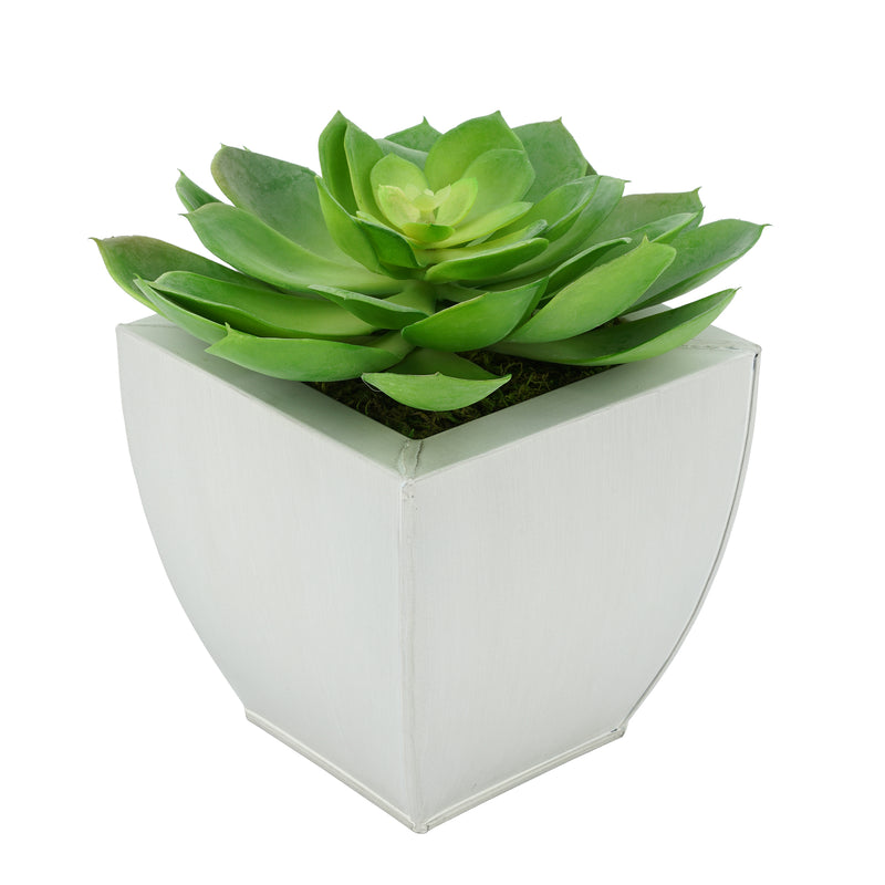 Faux Green Echeveria Succulent in Cream Tapered Zinc Pot