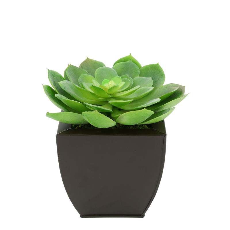 Faux Green Echeveria Succulent in Matte Brown Tapered Zinc Pot