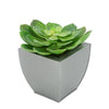 Faux Green Echeveria Succulent in Silver Tapered Zinc Pot