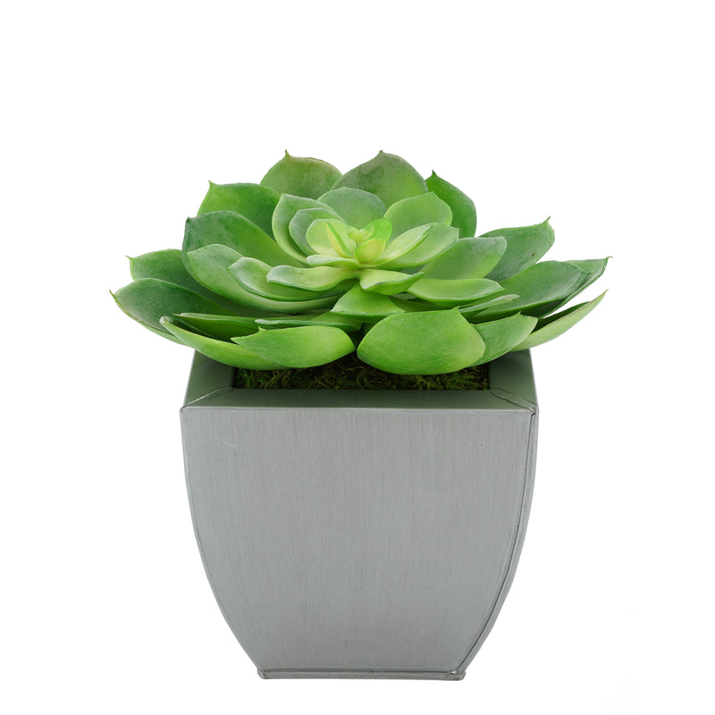 Faux Green Echeveria Succulent in Silver Tapered Zinc Pot