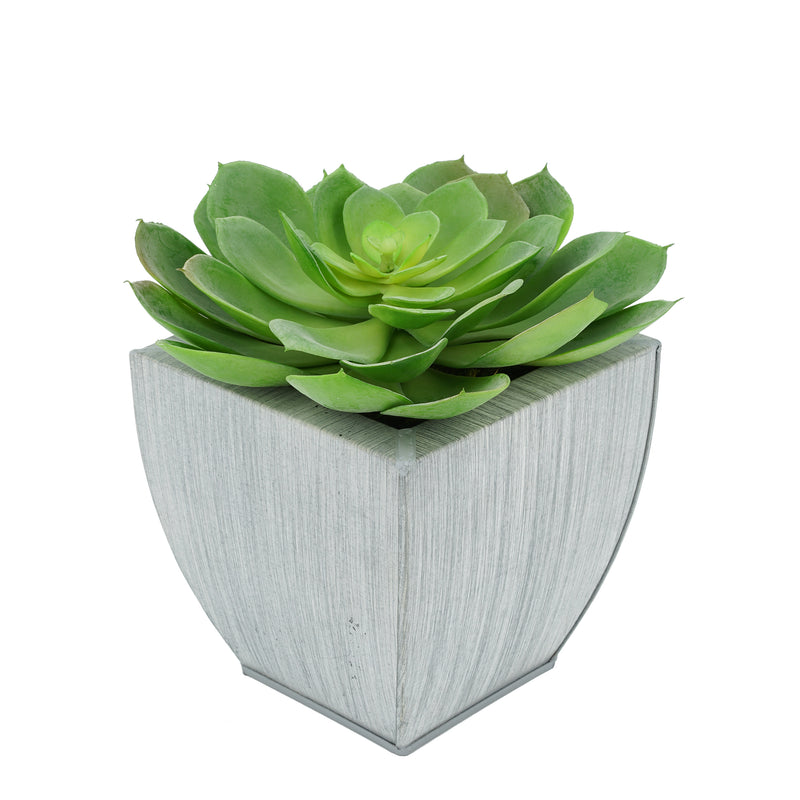 Faux Green Echeveria Succulent in Farmhouse Tapered Zinc Pot