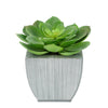 Faux Green Echeveria Succulent in Farmhouse Tapered Zinc Pot