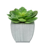 Faux Green Echeveria Succulent in Farmhouse Tapered Zinc Pot