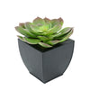 Faux Red-Tip Echeveria Succulent in Black Tapered Zinc Pot