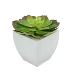 Faux Red-Tip Echeveria Succulent in cream Tapered Zinc Pot