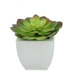 Faux Red-Tip Echeveria Succulent in cream Tapered Zinc Pot