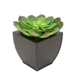 Faux Red-Tip Echeveria Succulent in matte brown Tapered Zinc Pot