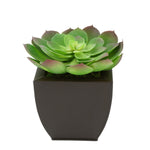 Faux Red-Tip Echeveria Succulent in matte brown Tapered Zinc Pot