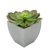 Faux Red-Tip Echeveria Succulent in silver Tapered Zinc Pot