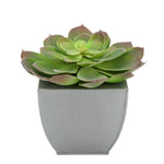 Faux Red-Tip Echeveria Succulent in silver Tapered Zinc Pot