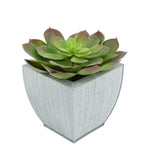 Faux Red-Tip Echeveria Succulent in farmhouse Tapered Zinc Pot