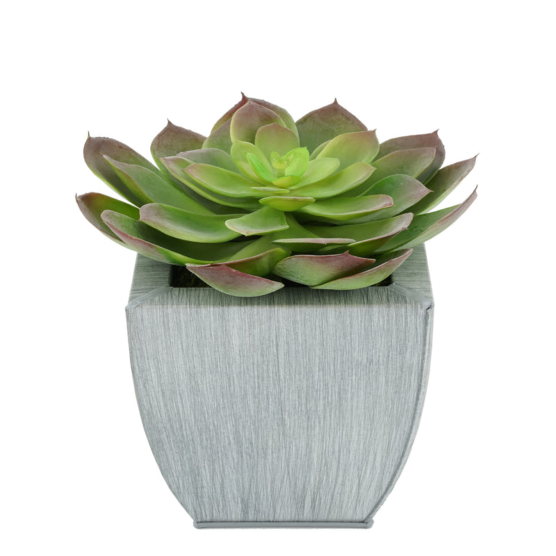 Faux Red-Tip Echeveria Succulent in farmhouse Tapered Zinc Pot