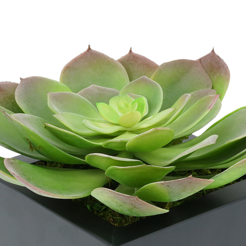 Faux Red-Tip Echeveria Succulent in Tapered Zinc Pot