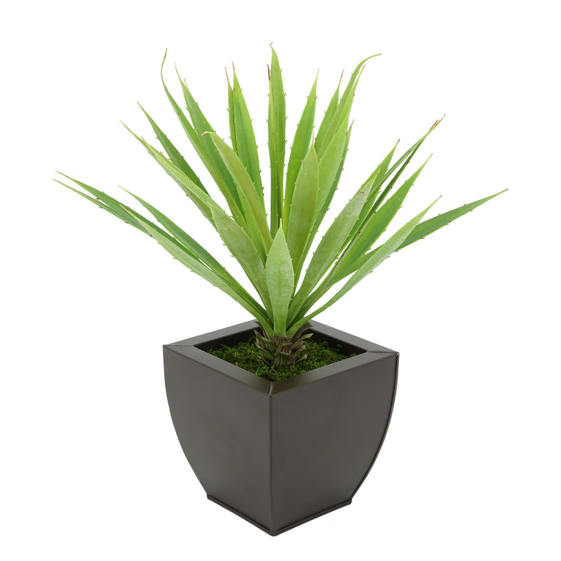 Faux Baby Yucca in Matte Brown Tapered Zinc Pot