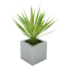 Faux Baby Yucca in Silver Square Zinc Pot