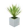 Faux Baby Yucca in Farmhouse Square Zinc Pot