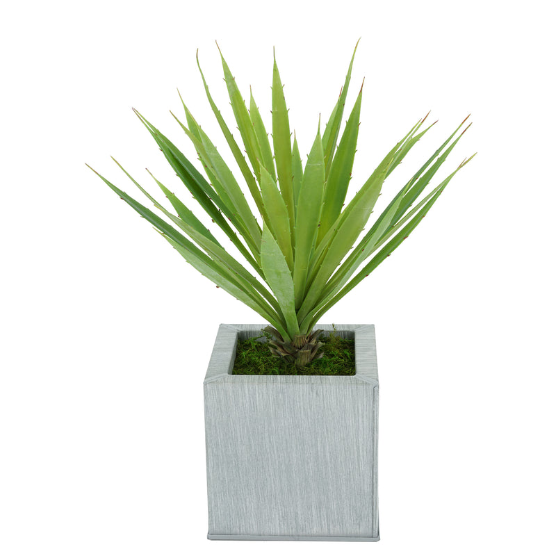 Faux Baby Yucca in Farmhouse Square Zinc Pot