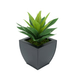 Faux Frosted Light Green Succulent in Black Tapered Zinc Pot