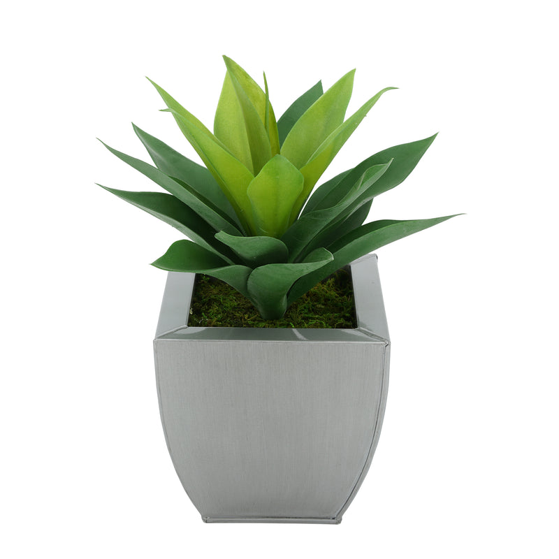 Faux Frosted Light Green Succulent in Silver Tapered Zinc Pot