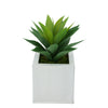 Faux Frosted Light Green Succulent in Cream Square Zinc Pot