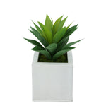 Faux Frosted Light Green Succulent in Cream Square Zinc Pot