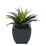 Faux Star Succulent in black Tapered Zinc Pot