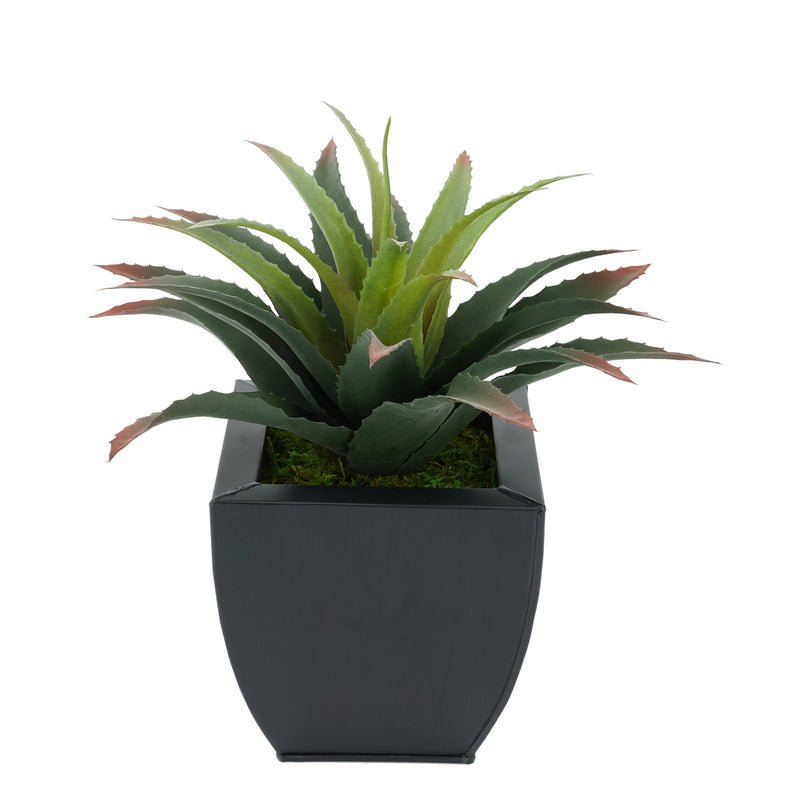 Faux Star Succulent in black Tapered Zinc Pot