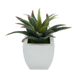 Faux Star Succulent in cream Tapered Zinc Pot