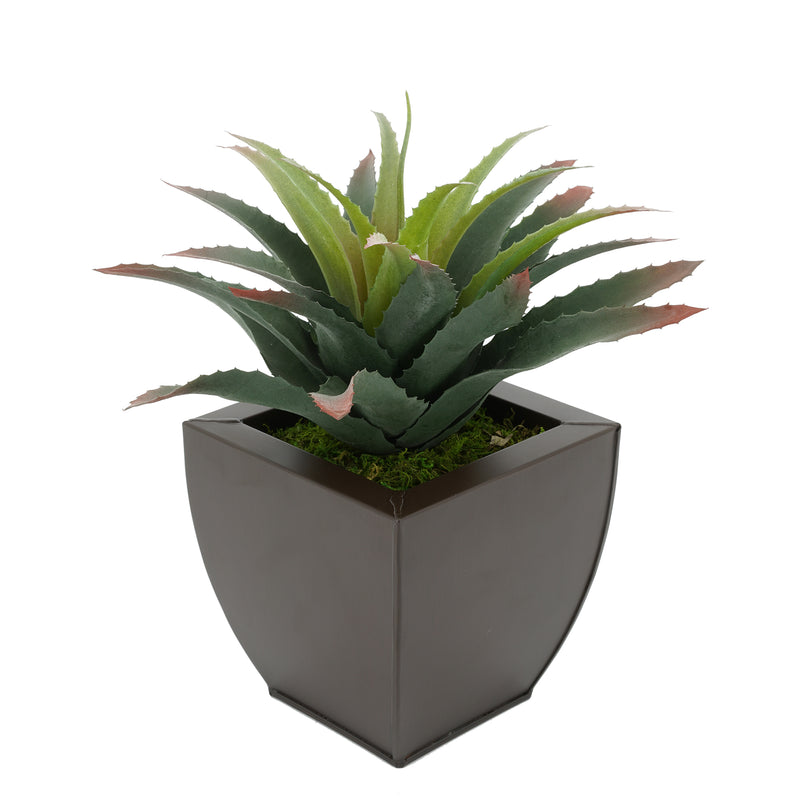 Faux Star Succulent in matte brown Tapered Zinc Pot