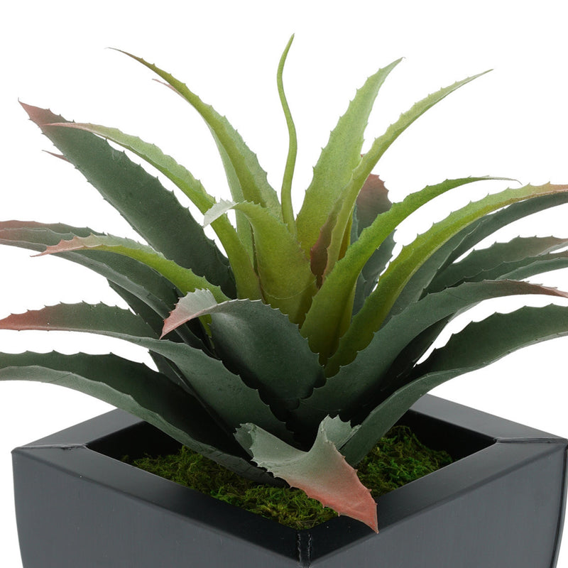 Faux Star Succulent in Tapered Zinc Pot